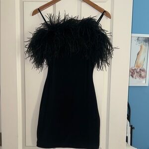 Elegant Black Feathered Dress